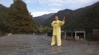 传统杨氏85式太极拳（安仁华）视频mp4免费下载下载