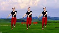 金社晓晓广场舞《天籁之爱》背面初学广场舞