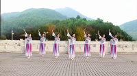广场舞《拈花一笑》简单广场舞教程分解慢动
