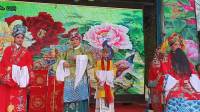 越调《八贤王抄府》全集高清视频mp4免费下