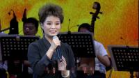 河北梆子下载免费mp4《洪湖赤卫队》自从来了共产党 王美景演唱下载