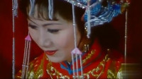 黄梅戏《龙女》选段视频mp4免费下载  马兰演唱 月圆花好人寂静下载