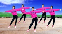 广场舞教学《啥也不是》超级火32步弹跳暴汗瘦身下载