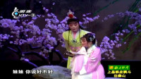 越剧《红楼梦读西厢》片段  名家郑国凤 陈晓红演唱视频mp4免费下载下载