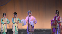 秦腔《锁麟囊》选段高清视频mp4免费下载 名家苏凤丽表演一颦一笑百媚生下载