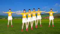 中老年健身操《多想抱抱你》高清视频mp4免