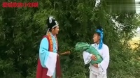 采茶戏《丑女报恩》视频mp4免费下载