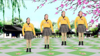 广场舞《月下情缘》瘦腰腹健身操一学就会