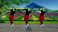 广场舞《拈花一笑》64步超好看超火健身跳起