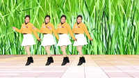 广场舞《迷茫的爱》好听好看背面演示附正面