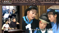 安徽庐剧《张秀英卖子》视频mp4免费下载 恨