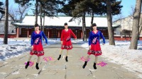 广场舞《又见雪花飞》每天20分钟活动筋骨全