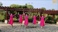 广场舞《红枣树》团队舞正背面附教学