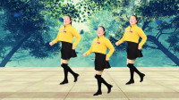 广场舞《不想今生失去你》简单好学适合初学