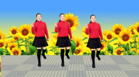 广场舞《流泪的情人》口令动作分解 想学这