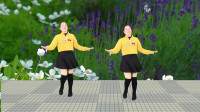 广场舞《你是我红尘中最美的缘》简单好学又