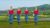 广场舞《在希望的田野上》动作优美 舞蹈欢
