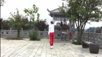 陕西秋凤广场舞《谁》简单32步教学好学易懂