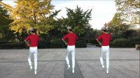 广场舞《你莫走》跟着节奏跳起来舞步简单易