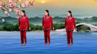 广场舞教学版《妹妹往哪走》高清视频mp4免费下载下载