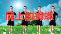 《肩上的蝴蝶》广场舞视频大全健身舞 优美3