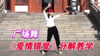 《爱情错觉》广场舞视频大全健身舞 正面示