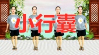 《小行囊》免费广场舞教学视频大全 正面背