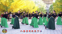 玲珑广场舞《心上的罗加》高清视频mp4免费