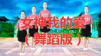 DJ广场舞《女神我的爱》动感时尚简单易学视