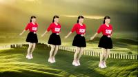 《山河美》免费广场舞教学视频大全 含口令