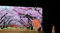 沪剧《新家别梅》芯艺 陈华演唱视频mp4免费