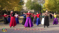 玲珑广场舞《翻身农奴把歌唱》正背面演示附