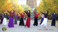 玲珑广场舞《板蓝花儿开》正背面演示口令分