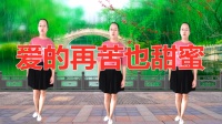 广场舞《爱的再苦也甜蜜》高清视频mp4免费