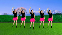 热门新歌广场舞《带孙子难》高清视频mp4免