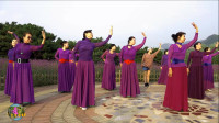 玲珑广场舞《山水情歌》新手学跳舞一步一步