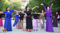 玲珑广场舞《鸿雁》初学最简单的广场舞视频