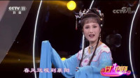 黄梅戏《女驸马》选段 春风送暖到襄阳 陈君