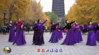 玲珑广场舞《鸿雁》亚南青花瓷和王鹤领舞高