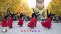 玲珑广场舞《相思》小红亚南和樱子老师领舞