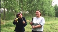 民间小调 《王妈说媒》周三沈小芹演唱视频mp4免费下载下载