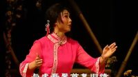 粤剧《野金菊》全剧视频mp4免费下载  主演 梁淑卿 钟康祺 欧凯明下载