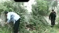 民间小调《情归何处》9集完整版视频mp4免费