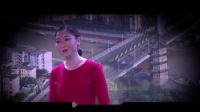 黄梅戏《好人代传华》(上集）视频mp4免费下载