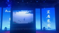 衡阳皮影戏 《小蝌蚪找妈妈》高清视频mp4免
