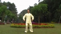 陈龙陈式太极拳缠丝劲基本动作演示视频mp4免费下载下载
