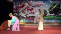越剧《轻烟寒细雨濛濛》徐秀春 章彩琴演唱下载