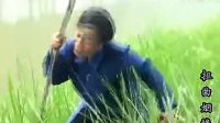 民间小调《扭曲姻缘 》10集全剧视频mp4免费