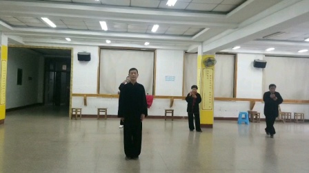 《武当秘传48式太极拳》课堂示范下载