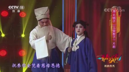 经典河北梆子《三娘教子》片段 母亲之不易 